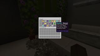 Screenshot of the Minecraft Bedrock Marketplace product Hacker Mansion created by 2-Tail Productions.