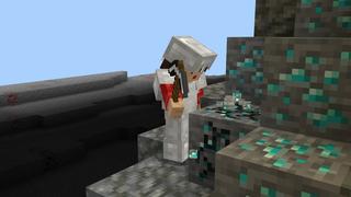 Screenshot of the Minecraft Bedrock Marketplace product Layer Survival created by 2-Tail Productions.