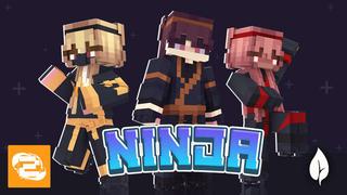 Thumbnail of the Minecraft Bedrock Marketplace product Ninja! created by 2-Tail Productions.