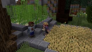 Screenshot of the Minecraft Bedrock Marketplace product Noob vs Pro : Castle Edition created by 2-Tail Productions.