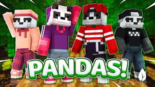 Thumbnail of the Minecraft Bedrock Marketplace product Pandas created by 2-Tail Productions.