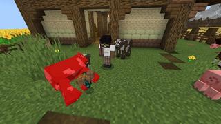 Screenshot of the Minecraft Bedrock Marketplace product Random Loot created by 2-Tail Productions.