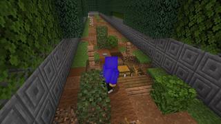 Screenshot of the Minecraft Bedrock Marketplace product Dragon Maze created by 4KS Studios.