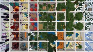 Screenshot of the Minecraft Bedrock Marketplace product Grid Parkour Biomes created by 4KS Studios.
