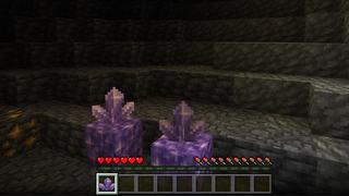 Screenshot of the Minecraft Bedrock Marketplace product Morph! created by 4KS Studios.