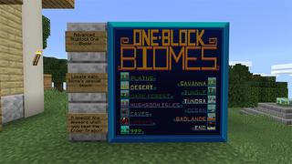 Screenshot of the Minecraft Bedrock Marketplace product One Block Advanced created by 4KS Studios.