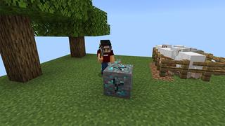 Screenshot of the Minecraft Bedrock Marketplace product One Block+ created by 4KS Studios.