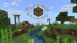 Screenshot of the Minecraft Bedrock Marketplace product ONE BLOCK SKYBLOCK created by 4KS Studios.