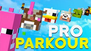 Thumbnail of the Minecraft Bedrock Marketplace product Pro Parkour created by 4KS Studios.
