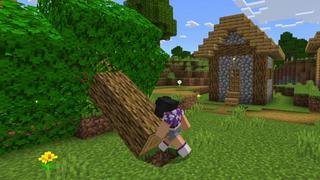 SECRET BASES+ de 4KS Studios | CHUNK - Minecraft Bedrock Marketplace ...