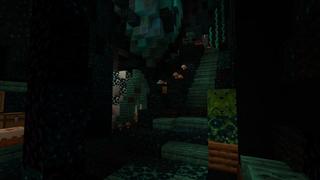 Screenshot of the Minecraft Bedrock Marketplace product How To Live Inside a Warden created by 5 Frame Studios.