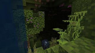 Screenshot of the Minecraft Bedrock Marketplace product Space Station Skyblock created by 5 Frame Studios.