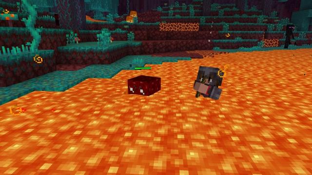 Screenshot of the Minecraft Bedrock Marketplace product Pet Blocks created by A Foxy Toast.