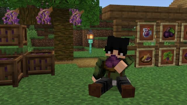 Screenshot of the Minecraft Bedrock Marketplace product Brazilian Delight Add-On created by Diluvian.