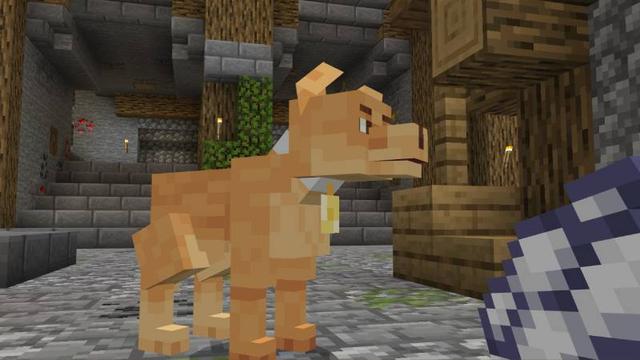 Screenshot of the Minecraft Bedrock Marketplace product Cachorro Caramelo Add-On created by A30x1.