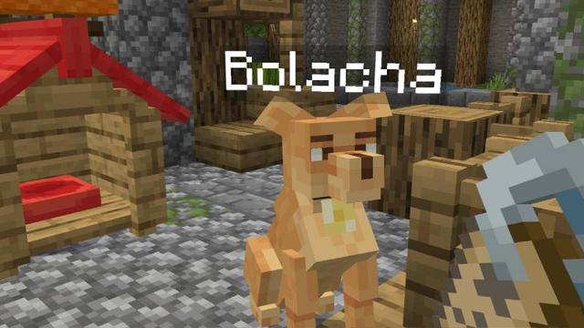 Screenshot of the Minecraft Bedrock Marketplace product Cachorro Caramelo Add-On created by A30x1.