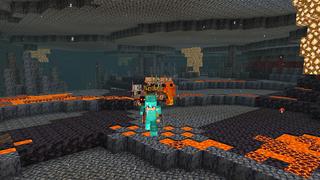 Screenshot of the Minecraft Bedrock Marketplace product Magnet Mobs created by A30x1.