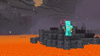 Screenshot of the Minecraft Bedrock Marketplace product Magnet Mobs created by A30x1.