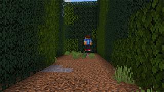 Screenshot of the Minecraft Bedrock Marketplace product Maze Escape Speedrun created by A30x1.