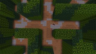 Screenshot of the Minecraft Bedrock Marketplace product Maze Escape Speedrun created by A30x1.