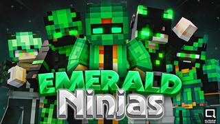 Thumbnail of the Minecraft Bedrock Marketplace product Emerald Ninjas created by Aliquam Studios.