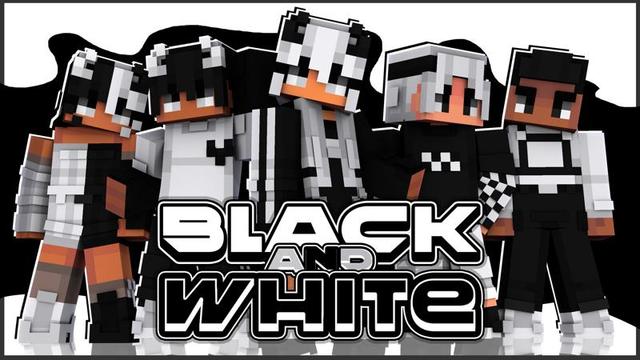 Thumbnail of the Minecraft Bedrock Marketplace product Black + White created by Architects Edge.