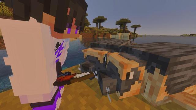 Screenshot of the Minecraft Bedrock Marketplace product Oceans Add-On created by Architects Edge.