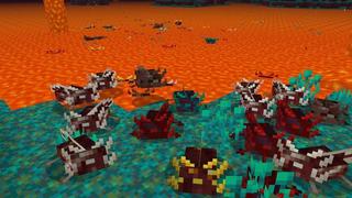 Screenshot of the Minecraft Bedrock Marketplace product Axolotl Expansion created by ASCENT.