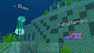 Screenshot of the Minecraft Bedrock Marketplace product Be a Baby Mob created by ASCENT.