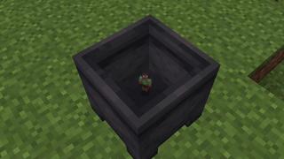 Screenshot of the Minecraft Bedrock Marketplace product Size Shifter created by ASCENT.