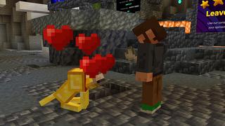 Screenshot of the Minecraft Bedrock Marketplace product Wolf Expansion created by ASCENT.