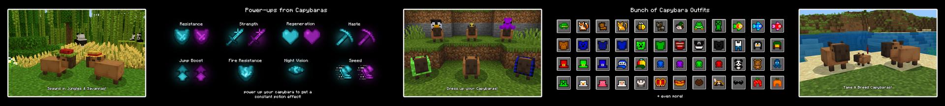 Panorama of the Minecraft Bedrock Marketplace product Capybaras Add-On created by Asiago Bagels.