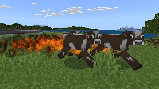 Screenshot of the Minecraft Bedrock Marketplace product PLAYER TRAILS created by Aurrora.