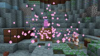 Screenshot of the Minecraft Bedrock Marketplace product Candy Cubes created by BBB Studios.