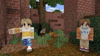 Screenshot of the Minecraft Bedrock Marketplace product Maze created by BBB Studios.