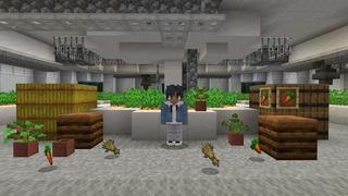 Screenshot of the Minecraft Bedrock Marketplace product Millionaire Underground Base 4 created by BBB Studios.