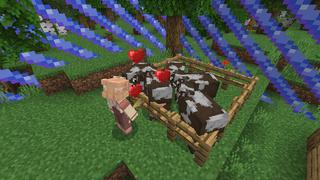 Screenshot of the Minecraft Bedrock Marketplace product Captive Survival created by BDcraft.