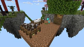Screenshot of the Minecraft Bedrock Marketplace product One Block created by BDcraft.