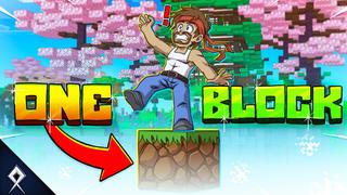 Thumbnail of the Minecraft Bedrock Marketplace product One Block created by BDcraft.