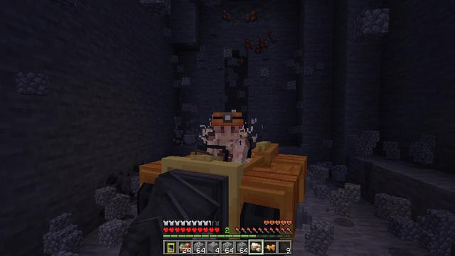 Screenshot of the Minecraft Bedrock Marketplace product Ore Finder+ Add-On created by BDcraft.