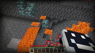 Screenshot of the Minecraft Bedrock Marketplace product X-RAY created by BDcraft.