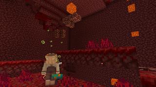 Screenshot of the Minecraft Bedrock Marketplace product X-RAY created by BDcraft.