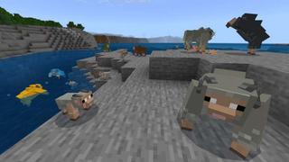 Screenshot of the Minecraft Bedrock Marketplace product Resourceful created by Big Dye Gaming.