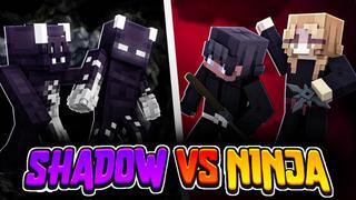 Thumbnail of the Minecraft Bedrock Marketplace product Shadow VS Ninja created by Big Dye Gaming.