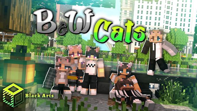 Thumbnail of the Minecraft Bedrock Marketplace product B&W Cats created by Black Arts Studios.