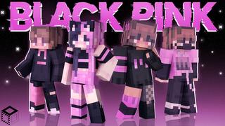 Thumbnail of the Minecraft Bedrock Marketplace product Black Pink created by Black Arts Studios.