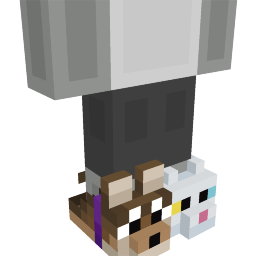 Thumbnail of the Minecraft Bedrock Marketplace product Cat and Dog Shoes created by Block Factory.