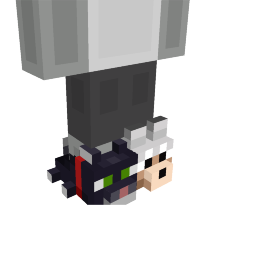 Thumbnail of the Minecraft Bedrock Marketplace product Cat and Dog Slippers created by Block Factory.