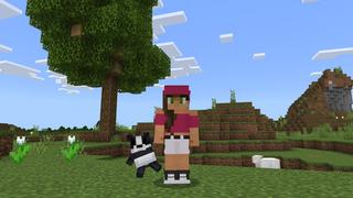 Screenshot of the Minecraft Bedrock Marketplace product Mob Plushies created by Blockception.