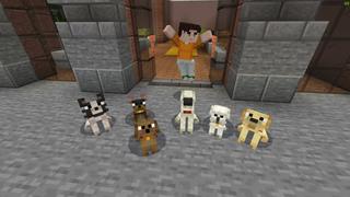 Screenshot of the Minecraft Bedrock Marketplace product Adopt Pets created by BLOCKLAB Studios.